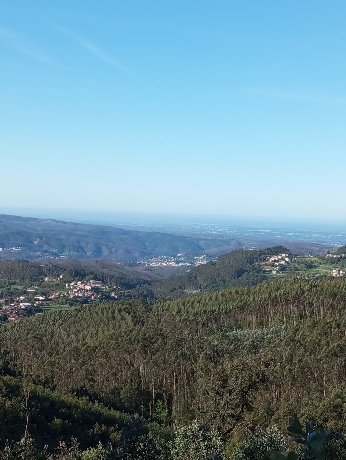 503581696_4132582423691615_4089803572165609851_n