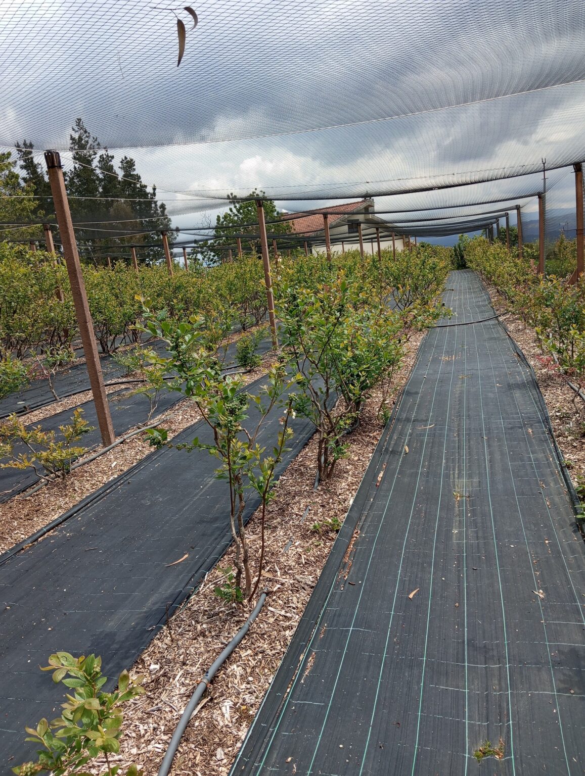 504817782_4137950923154765_8253871245643181117_n