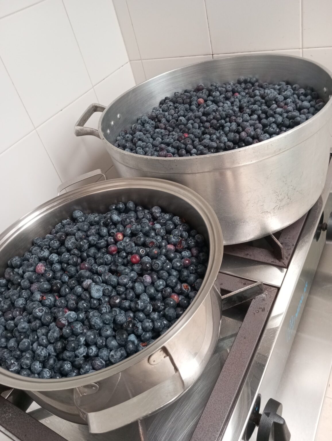 515436529_4160817074201483_8630984497238584374_n